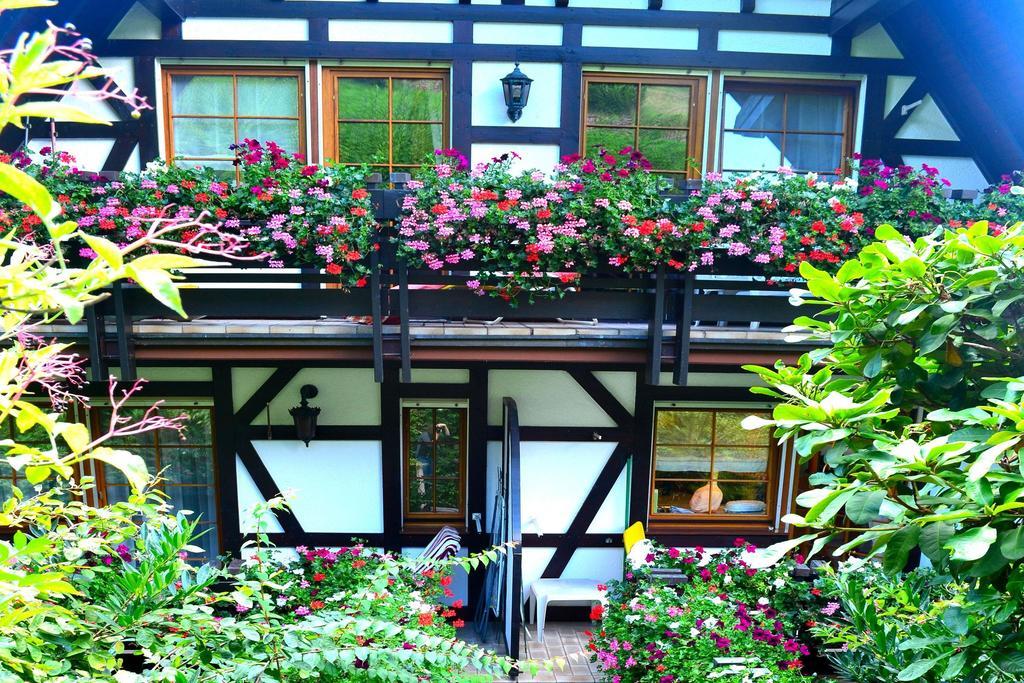 Appartamento Haus Bachschwalbe Sasbachwalden Camera foto